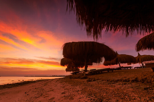 Silhouette of straw parasols and sun loungers on a sandy beach at sunset, Hurghada, Egypt