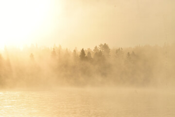 Fototapeta premium A fog on an autumn morning, Sainte-Apolline, Québec, Canada