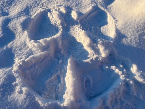 Overhead view of the outline of a  snow angel in fresh winter snow