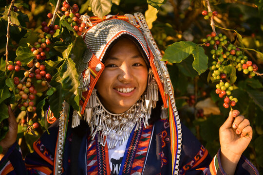 Portrait of a smiling Akha woman standing in a field next to a coffee cherry bush in the mountains