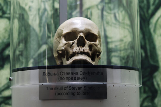 Nis Serbia - December 27, 2025: Skulls in Cele Kula (Tower of Skulls). A historical monument, inside the chapel is a structure built from human skulls of Serbian rebels of 1809. Skulls behind glass