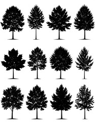 Fototapeta premium A set of silhouettes of different trees with various canopy shapes and sizes, depicted in black