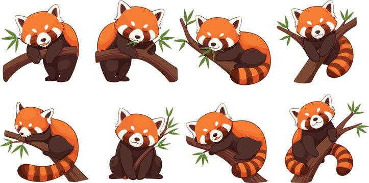 Cute red panda characters collection sitting sleeping and playing on tree branches cartoon vector illustration