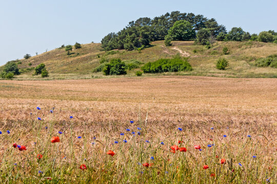 ruhige Landschaft auf dem M&ouml;nchsgut, Insel R&uuml;gen
