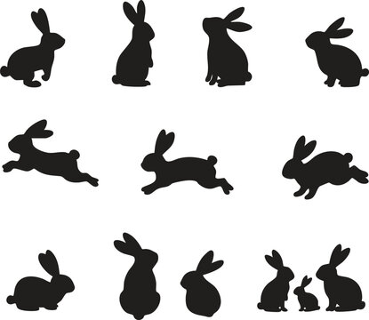Rabbit Vector Icon on White Background