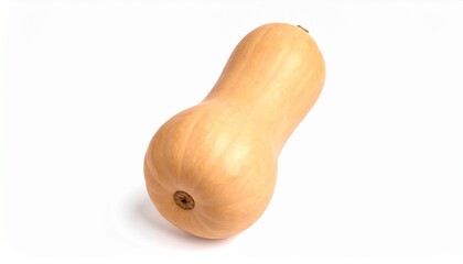 Butternut-K&uuml;rbis freigestellt