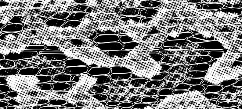Snakeskin pattern imitation. Lines and spots structural texture. Cool and artsy faux leather background. Abstract vector illustration. Black isolated on white. EPS10