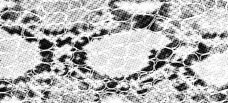 Snakeskin pattern imitation. Lines and spots structural texture. Cool and artsy faux leather background. Abstract vector illustration. Black isolated on white. EPS10