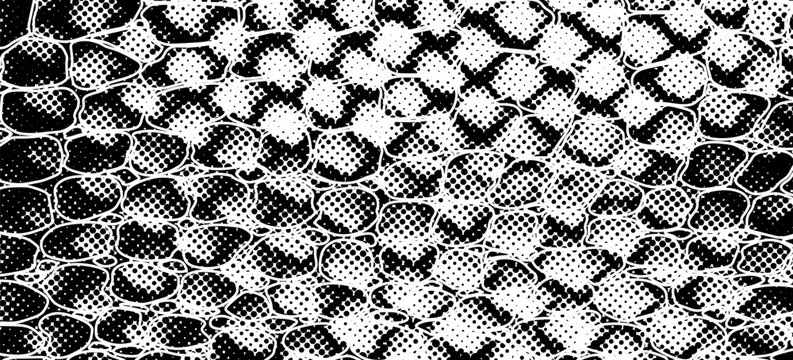 Snakeskin pattern imitation. Lines and spots structural texture. Cool and artsy faux leather background. Abstract vector illustration. Black isolated on white. EPS10