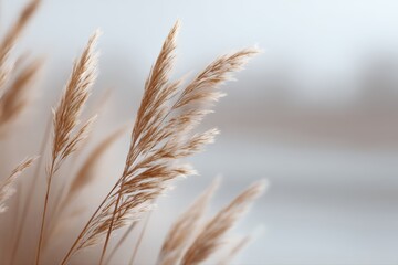 Dry reeds and grass by riverbank, blurred background, minimalist nature scene, calm tones