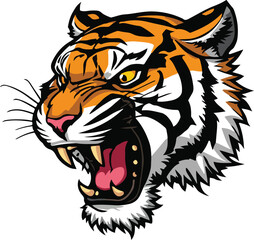 Obraz premium tiger head vector