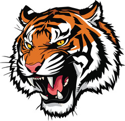 Fototapeta premium tiger head vector