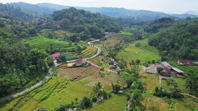 Aerial drone footage of terrace rice fields, with lush forests of green trees around, some local houses and a road, in the rural valley of Tanjungmedar area, Sumedang regency, Java island, Indonesia