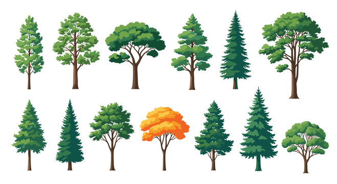 Large set of various tree species including deciduous and coniferous types with one orange autumn tree for forest landscape designs.