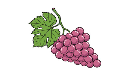 Fototapeta premium Large bunch of ripe purple grapes with a green leaf and vine stem illustrated in a detailed cartoon style for food designs.