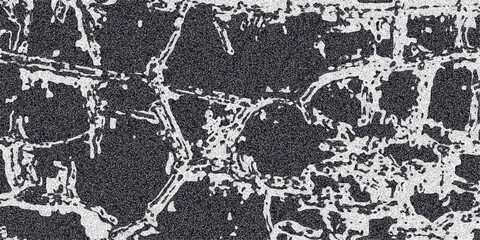 Obraz premium Detailed grayscale abstract texture resembling cracked earth or a network of veins with granular noise and organic interconnected lines forming a complex surface pattern