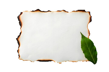 Collection of Burnt and Cracked Paper Piece with Rough Edges Isolated on Transparent Background