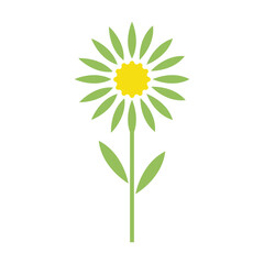 Edelweiss logo illustration vector