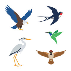 Obraz premium Collection of Colorful Bird Silhouettes