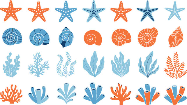 Ocean life vector set with starfish, seashells, corals, seaweed, marine plants, and colorful underwater decorative elements