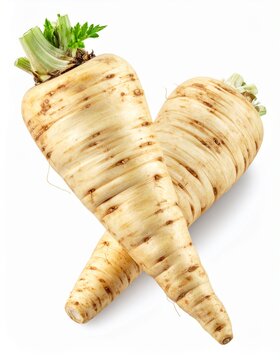 Pastinake freigestellt
