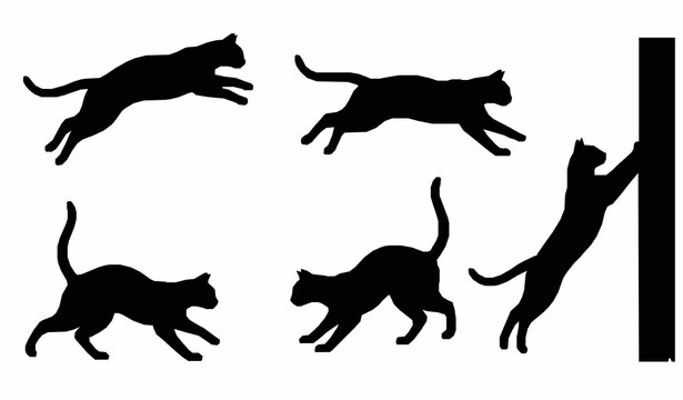 Dynamic black cat silhouette vector illustrations with jumping and running poses