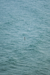 Traditional fishing boats resting along the coast of Itacar&eacute;, Bahia, Brazil, under strong yellow sunlight. The intense tropical sun creates golden reflections on the ocean surface, highlighting the vi