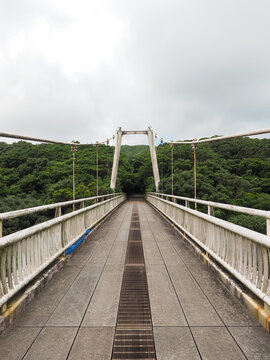 Bridge in the Park