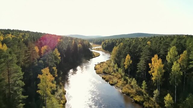 Aerial View of Serene River Landscape.