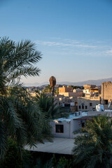 Nizwa Fort framed by palm trees at early evening, Oman