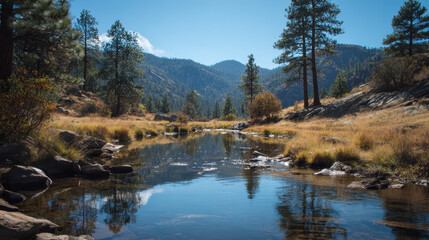 Obraz premium Mountain Stream in a Sunlit Forest