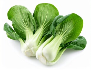 Pak Choi isoliert