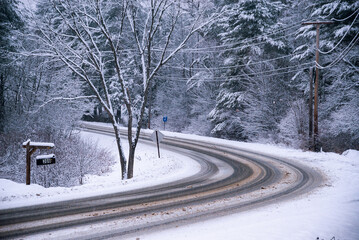 Wet road through a winter forest in Maine, USA