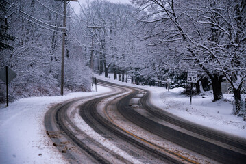 Wet road through a winter forest in Maine, USA
