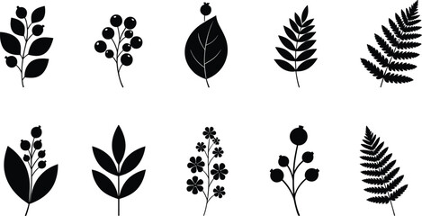 Leaf and botanical silhouette icon set with branches berries and fern foliage for nature garden designs © Rubya