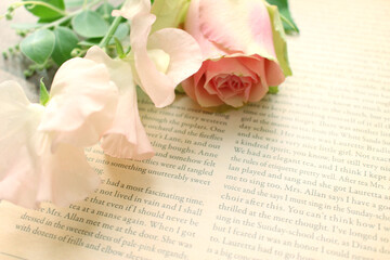 バラの花の背景