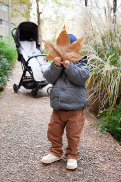 Toddler standing on a park path and holding a large autumn leaf in front of face. Natural daylight, shallow depth of field, and soft neutral colors create a cozy lifestyle scene. Concept of childhood