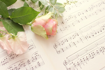 rose and music