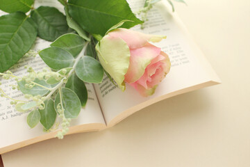 バラの花の背景