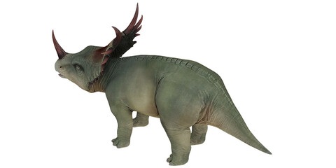 Majestic triceratops dinosaur in profile view. © Ilie