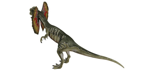 Obraz premium Dilophosaurus with frill, prehistoric creature illustration