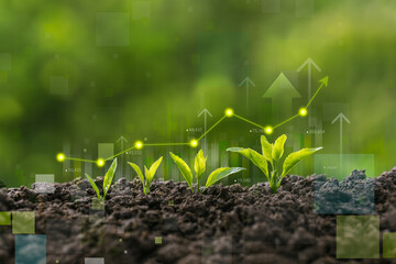 Sustainable green business growth and green investment ideas with enhanced financial charts, ESG and environmental responsibility concepts. © Dee karen