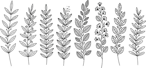 Hand drawn botanical leaf branch icons set in black line art style for floral decoration and nature designs © Sumon Creative