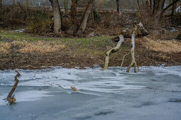 Eis und B&auml;ume am Ufer eines Gew&auml;ssers in der Winterzeit