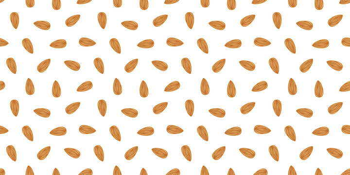 Almond nut Pattern background. seamless pattern Almond doodle illustration. doodle almond nut seamless pattern.
