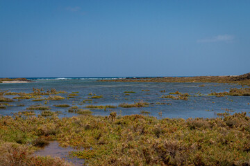Las lagunitas Small lagoons on the island of Lobos - protected natural area, Canary Islands