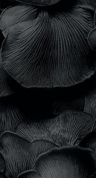 Ai Dark Botanical Texture of Mushroom Gills - Abstract Nature Macro Background
