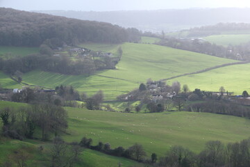 Obraz premium landscape in the morning