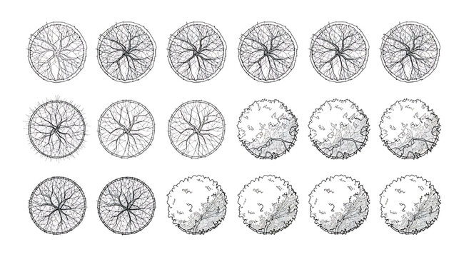 Vector illustration set of twenty circular diagrams in two rows, showing progressive branching transformations from neuron‑like or root‑like structures to filled textures, ideal for science, biology, 