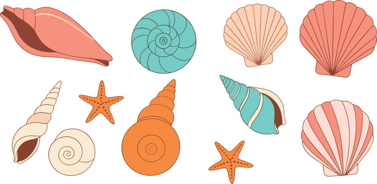 Set of colorful seashells and starfish vector illustration, marine ocean beach shell collection for summer design
